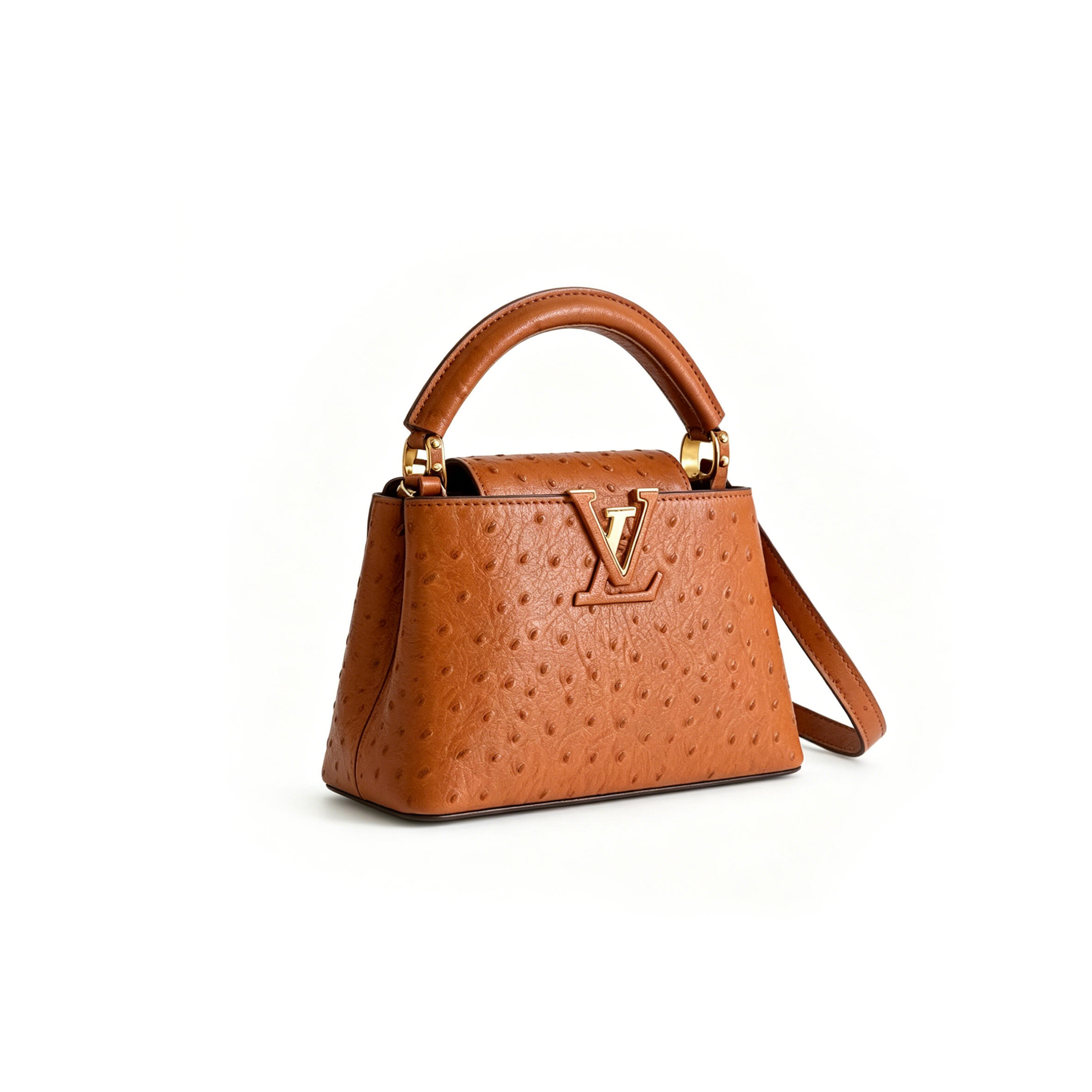 LOUIS VUITTON CAPUCINES MINI N85518 (21*14*8cm)